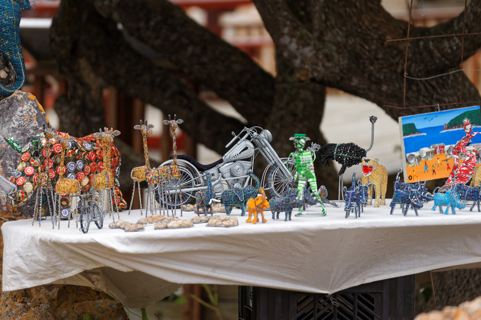 20161108 113735 Knysna